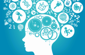 Center of Excellence Roles and Responsibilities (CoE)