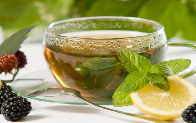 Best Home remedies for hemorrhoids treatment (Piles)