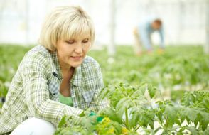 What are the Advantages of Gardening?