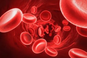 Vitamins and Foods to increase Hemoglobin level in Blood Quickly