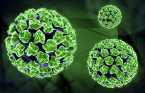 Human Papillomavirus Infection (HPV Symptoms & Treatment)