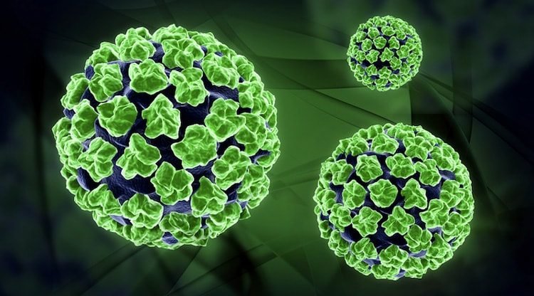 Human Papillomavirus Infection (HPV Symptoms & Treatment)