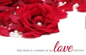 What to do for Valentines Day? - Celebration Ideas