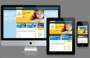 Responsive Design best practices for Professional web designers