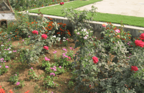 The Bliss of Flower Garden - Tips for Garden Lovers