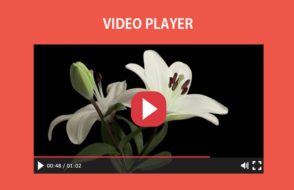 HTML5 video player with play, forward, rewind & pause buttons