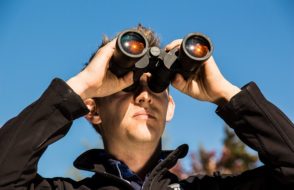 How Competitor Analysis & Keyword Research helps in SEO?