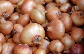 Sperm motility or Ear Pain how Onions are benificial for Health