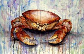 Cancerian Personality and Cancer Love Horoscope