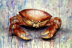 Cancerian Personality and Cancer Love Horoscope