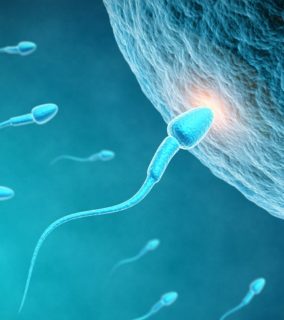 Advent of Bubbly Baby