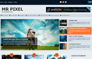 6 Crucial WordPress Skills to Manage your Blog like a Pro