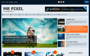 6 Crucial WordPress Skills to Manage your Blog like a Pro