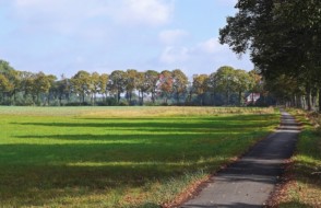 Construction Projects? - Assess your Landscape before Starting