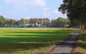 Construction Projects? - Assess your Landscape before Starting