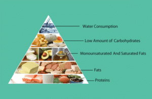 The Modified Ketogenic Diet to Enhance Weight Loss