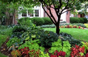 5 Easy ways to Make your Garden Look Amazing