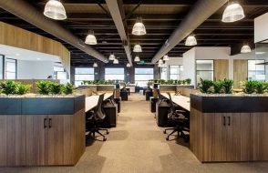 Office Design Tips to Create a Cozy Working Environment for Employees