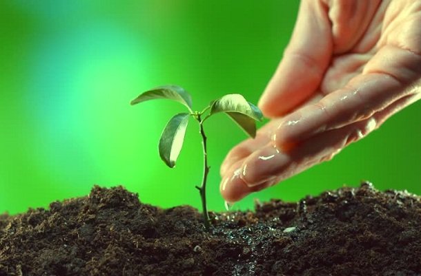 How to use Mutual Funds to plan for your Child's Education?