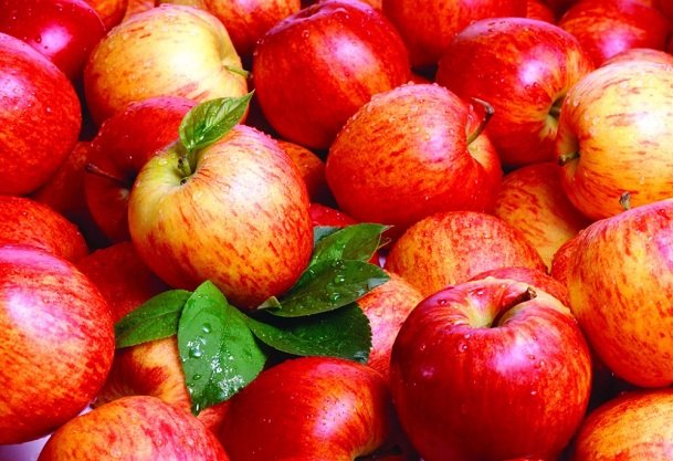 Oral Health to Diabetes 10 impressive Health benefits of Apples