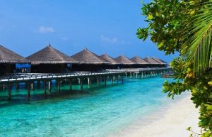 In this Holiday Trip to Andaman explore the Hub of interesting activities