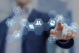 What are the primary Sectors to Focus for a Healthy Business Growth?