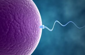 Obesity and Infertility in Women by a fertility Center in Mumbai