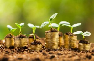 Why to prefer Cumulative or Non-Cumulative FDs for Safe Investments?