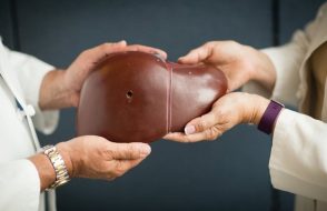 Selection of liver Donor – What do Indian laws Say?