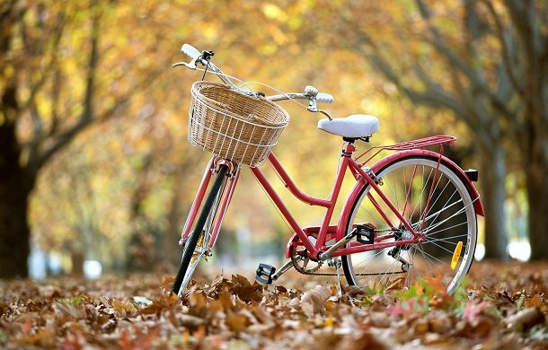 Reasons to Consider while buying a Hybrid Bike