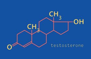 Testosterone - Primary Sex Hormone and Anabolic Steroid in males