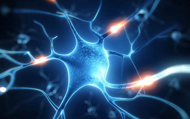 Some Facts and Statistics related to Epilepsy Prevalence