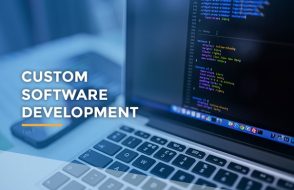 Growing Importance of Custom Software Development Strategy