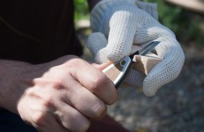 Wood Selection to Knife thing for Staring a Wood Whittling Project Easily