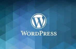 What you need to Know about Choosing WordPress Themes?