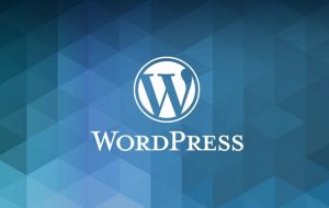 What you need to Know about Choosing WordPress Themes?