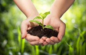 8 ideas to Convert your Car into an Eco-friendly Drive