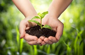 Natural Resource to Wildlife few reasons to use Eco-Friendly Products