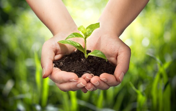 Natural Resource to Wildlife few reasons to use Eco-Friendly Products