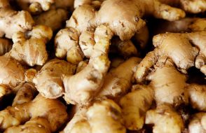 As a Adaptogen to Diabetes 4 Health Benefits of Ginseng