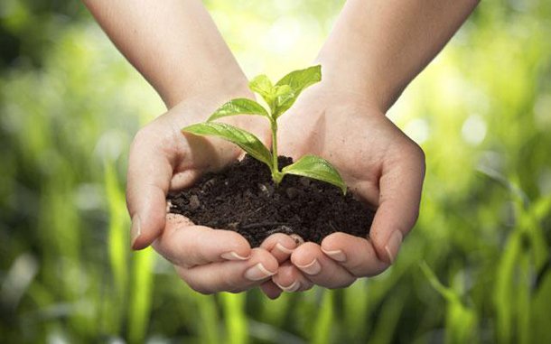 Fighting for Conservation of Environment which Certainly Deserve Award