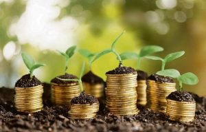 What is Working Capital and Do you have Enough?