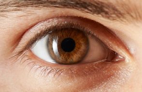 8 Tips for Landing your Dream Fellowship in Ophthalmology