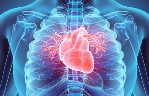 How Education can bring awareness to Cardiovascular Diseases?