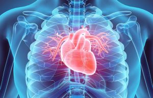 How Education can bring awareness to Cardiovascular Diseases?