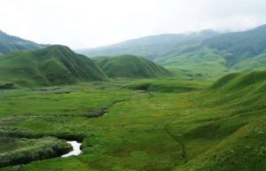 Explore Northeast India with a Local and your new Travel Companion