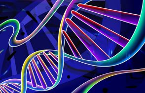 4 Important benefits of Whey Protein for Immunity to Ageing