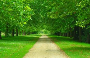 Best way to alter JPG file to ICO using Online ICO converter