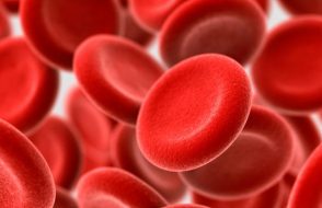 10 Interesting Facts about Blood and its Regular Functions