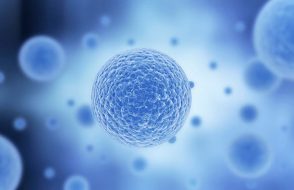 How Hematopoietic Stem Cell Transplantation (HSCT) has helped?